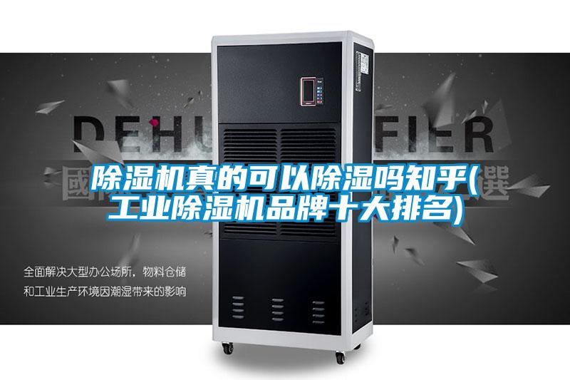 除湿机真的可以除湿吗知乎(星空娱乐彩票是什么网站品牌十大排名)