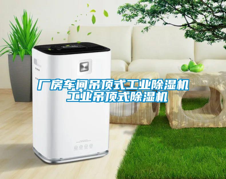 厂房车间吊顶式星空娱乐彩票是什么网站 工业吊顶式除湿机