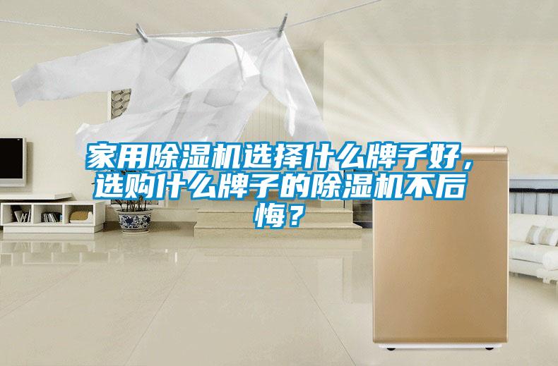 星空体育app官网选择什么牌子好，选购什么牌子的除湿机不后悔？