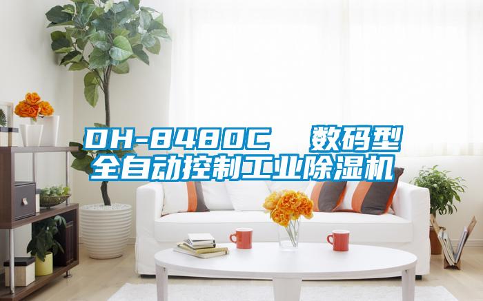 DH-8480C  数码型全自动控制星空娱乐彩票是什么网站