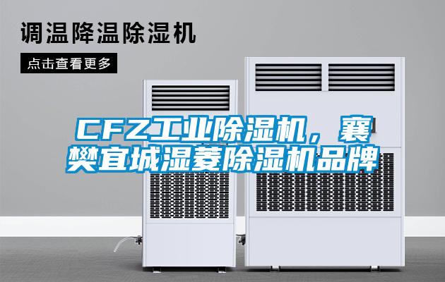 CFZ星空娱乐彩票是什么网站，襄樊宜城湿菱除湿机品牌