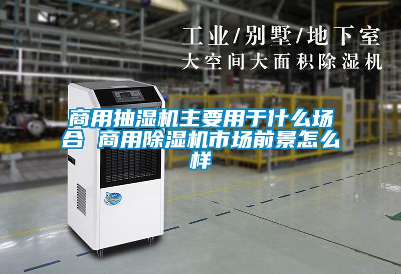 商用抽湿机主要用于什么场合 星空app官网下载手机版市场前景怎么样