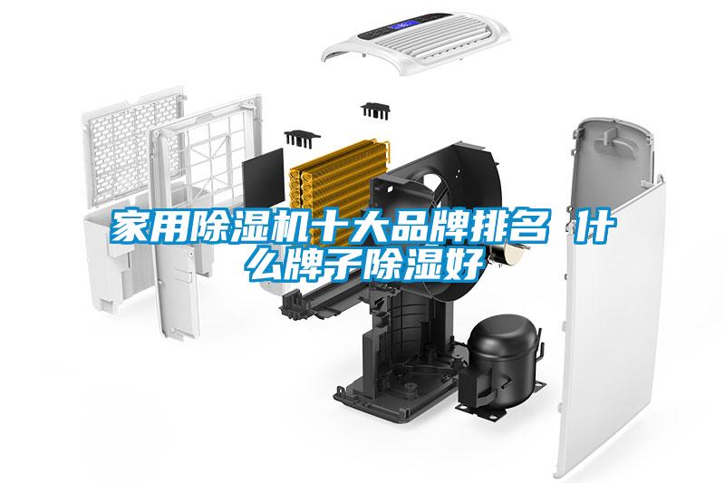 星空体育app官网十大品牌排名 什么牌子除湿好