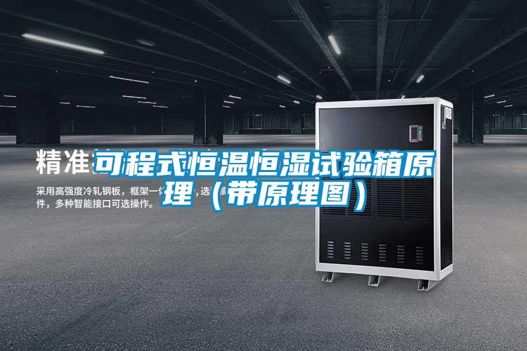 可程式恒温恒湿试验箱原理（带原理图）