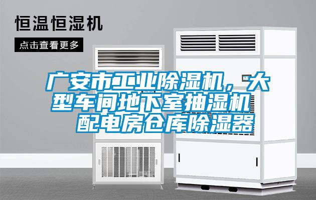 广安市星空娱乐彩票是什么网站，大型车间地下室抽湿机  配电房仓库除湿器