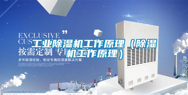 星空娱乐彩票是什么网站工作原理（除湿机工作原理）