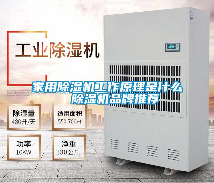 星空体育app官网工作原理是什么  除湿机品牌推荐