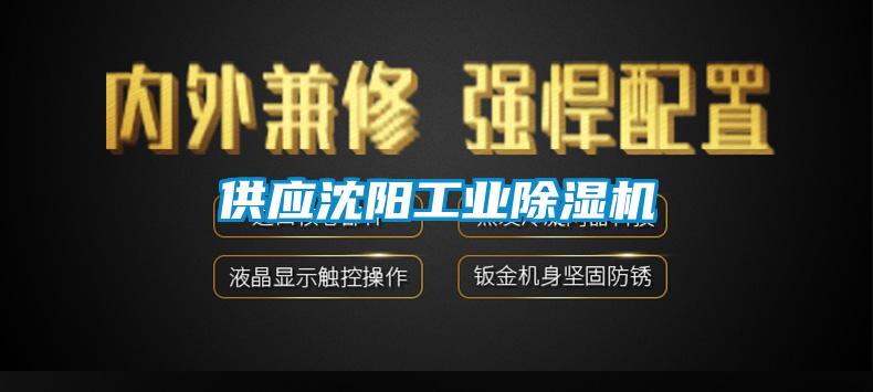 供应沈阳星空娱乐彩票是什么网站