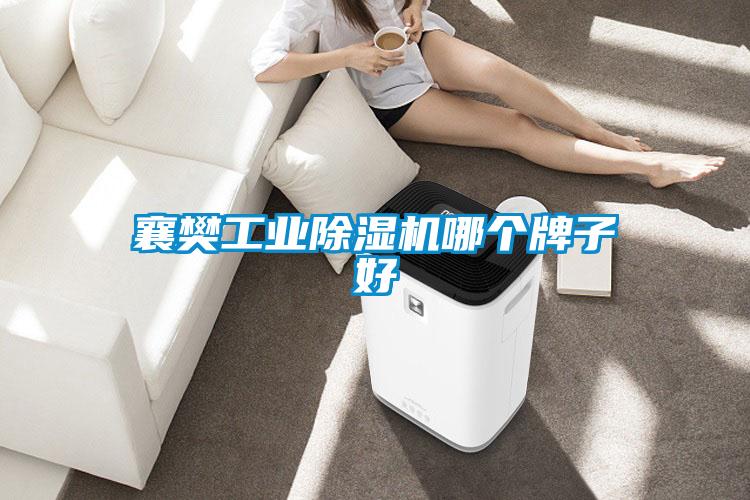 襄樊星空娱乐彩票是什么网站哪个牌子好