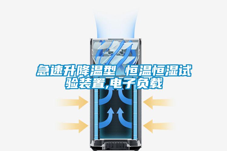 急速升降温型 恒温恒湿试验装置,电子负载
