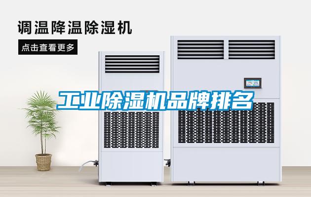 星空娱乐彩票是什么网站品牌排名