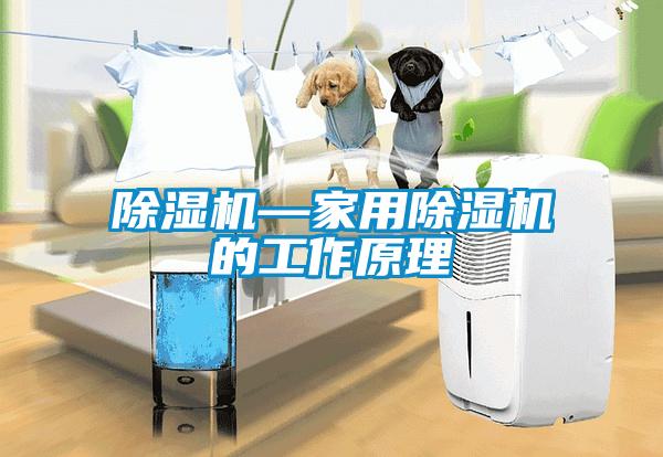 除湿机—星空体育app官网的工作原理