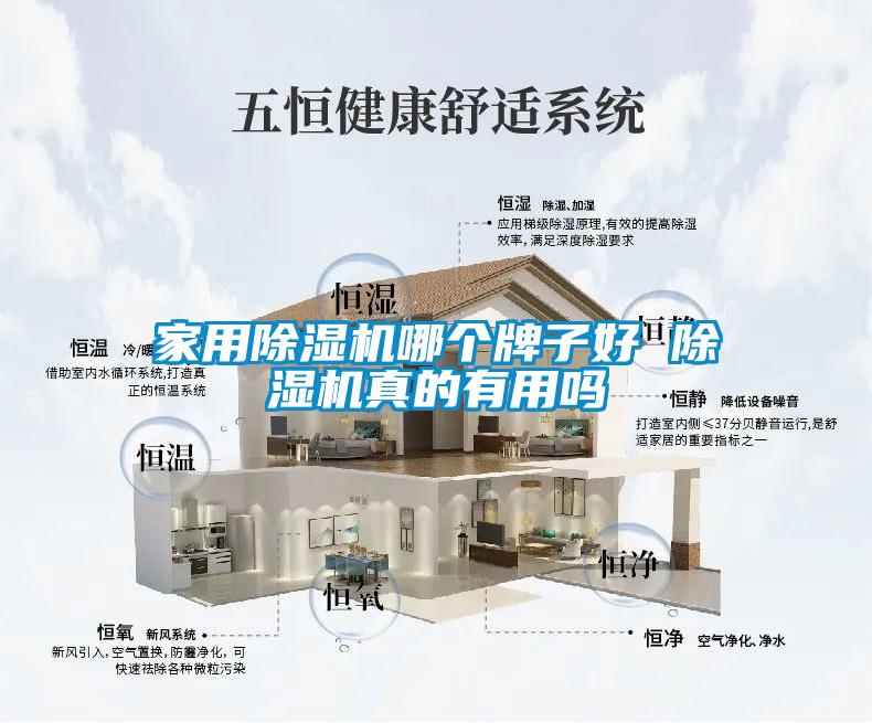 星空体育app官网哪个牌子好 除湿机真的有用吗