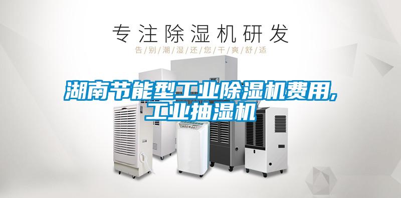 湖南节能型星空娱乐彩票是什么网站费用,工业抽湿机
