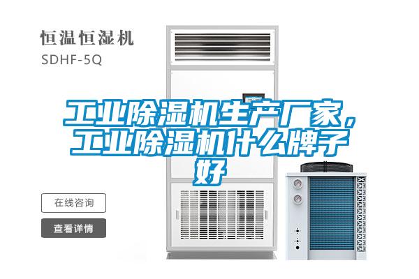 星空娱乐彩票是什么网站生产厂家，星空娱乐彩票是什么网站什么牌子好