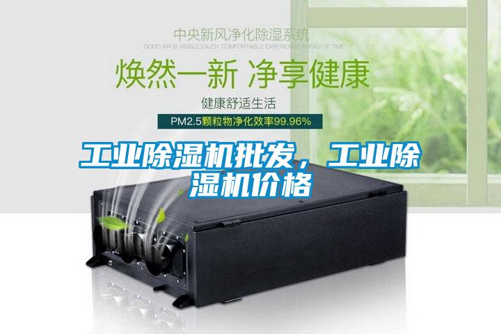 星空娱乐彩票是什么网站批发，星空娱乐彩票是什么网站价格