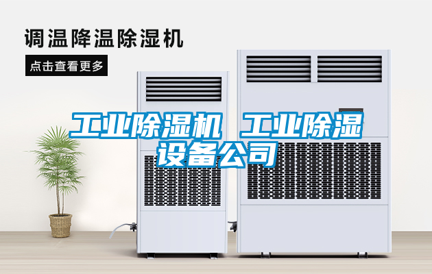 星空娱乐彩票是什么网站 工业除湿设备公司