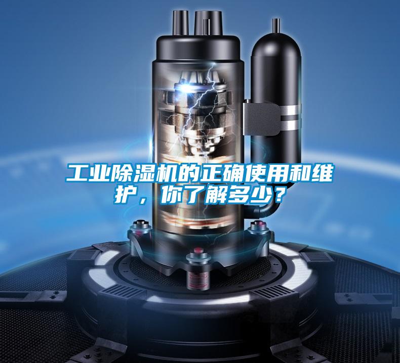 星空娱乐彩票是什么网站的正确使用和维护，你了解多少？