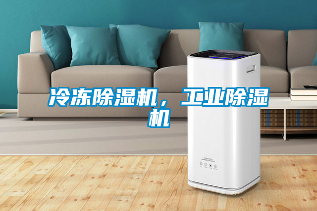 冷冻除湿机，星空娱乐彩票是什么网站