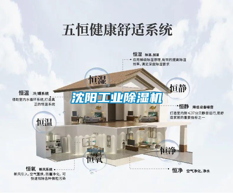 沈阳星空娱乐彩票是什么网站