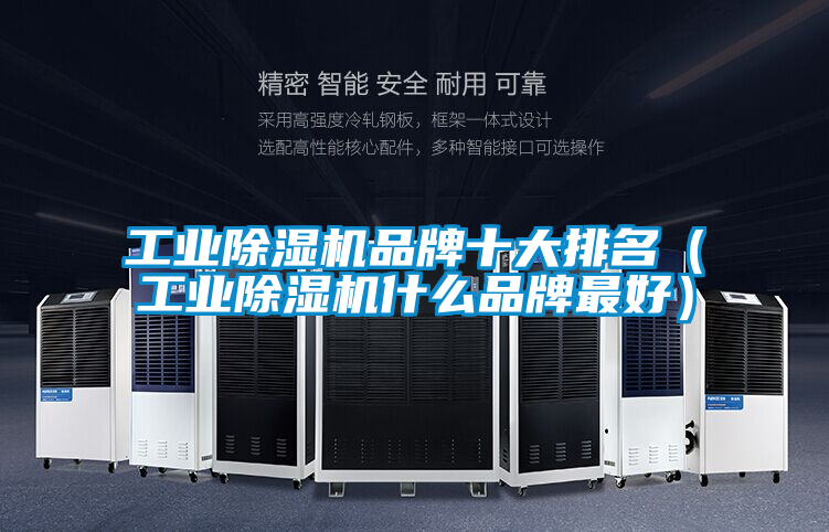 星空娱乐彩票是什么网站品牌十大排名（星空娱乐彩票是什么网站什么品牌最好）