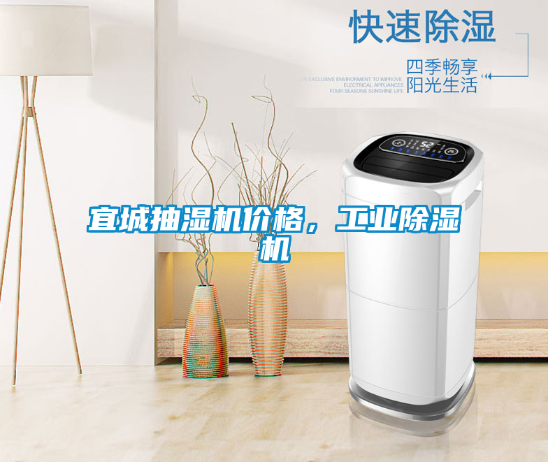 宜城抽湿机价格，星空娱乐彩票是什么网站