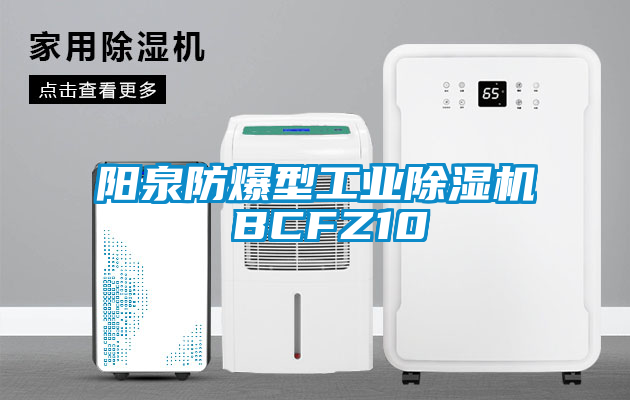 阳泉防爆型星空娱乐彩票是什么网站 BCFZ10