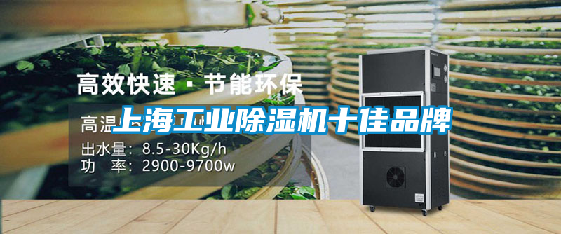 上海星空娱乐彩票是什么网站十佳品牌