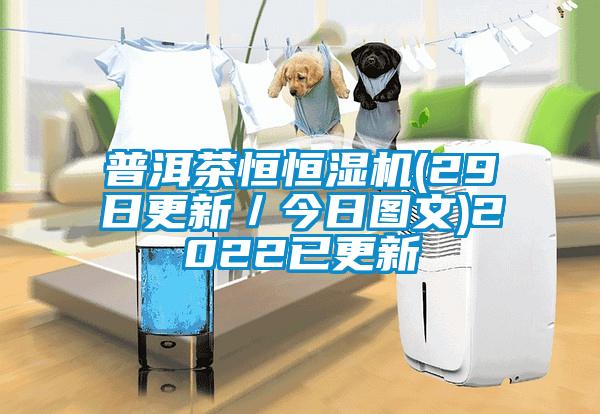 普洱茶恒恒湿机(29日更新／今日图文)2022已更新
