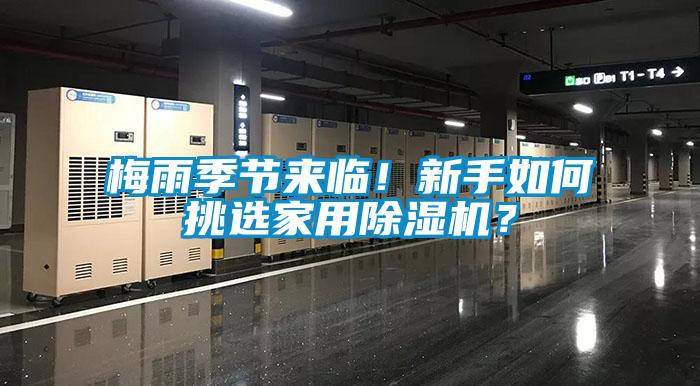 梅雨季节来临！新手如何挑选星空体育app官网？