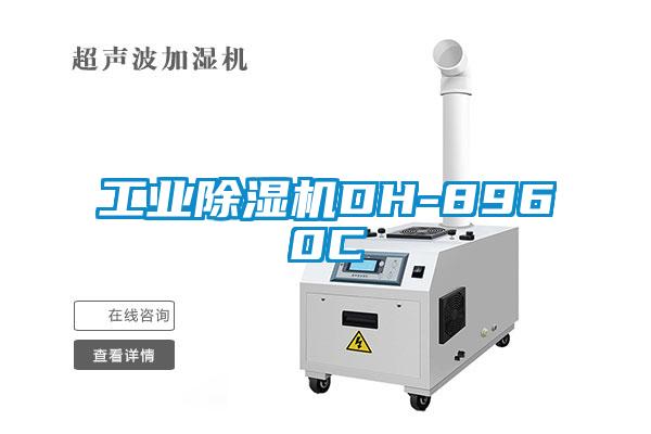 星空娱乐彩票是什么网站DH-8960C