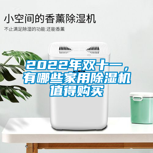 2022年双十一，有哪些星空体育app官网值得购买