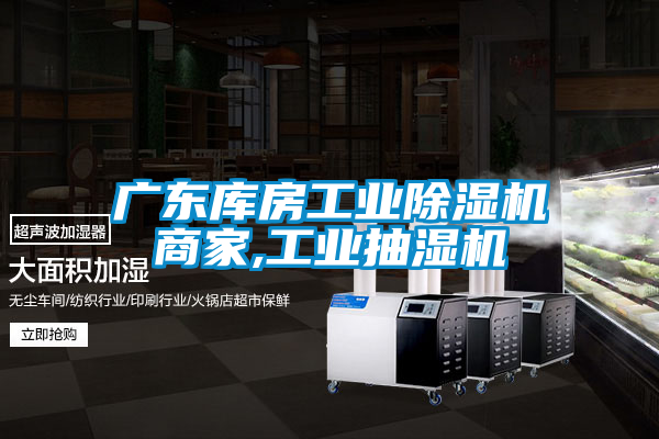 广东库房星空娱乐彩票是什么网站商家,工业抽湿机