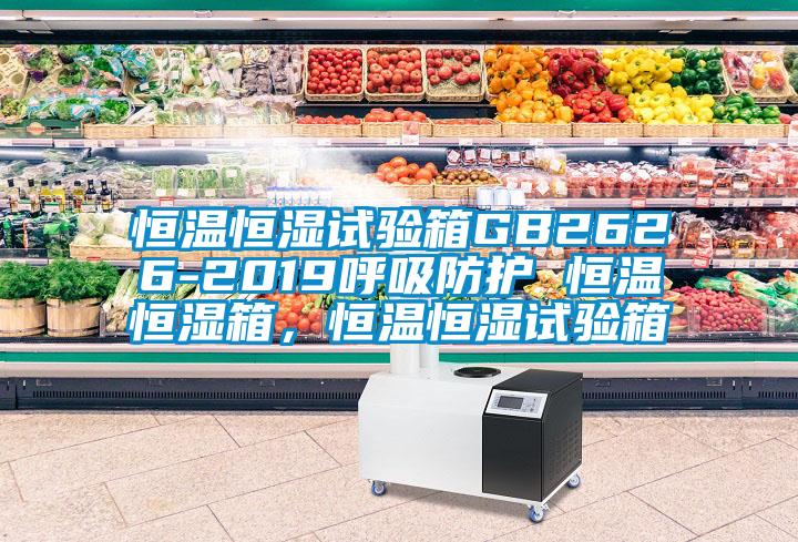 恒温恒湿试验箱GB2626-2019呼吸防护 恒温恒湿箱，恒温恒湿试验箱