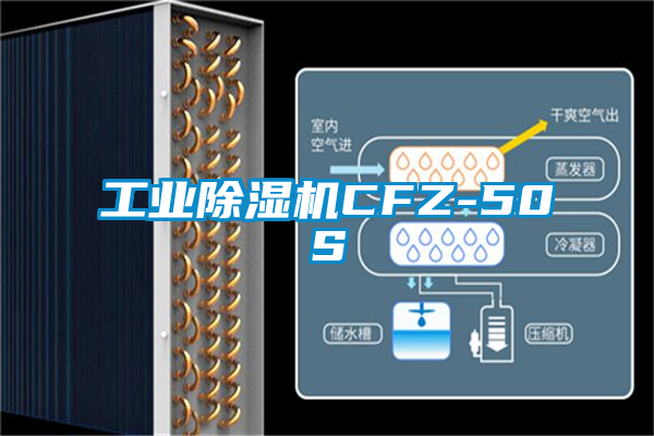 星空娱乐彩票是什么网站CFZ-50S