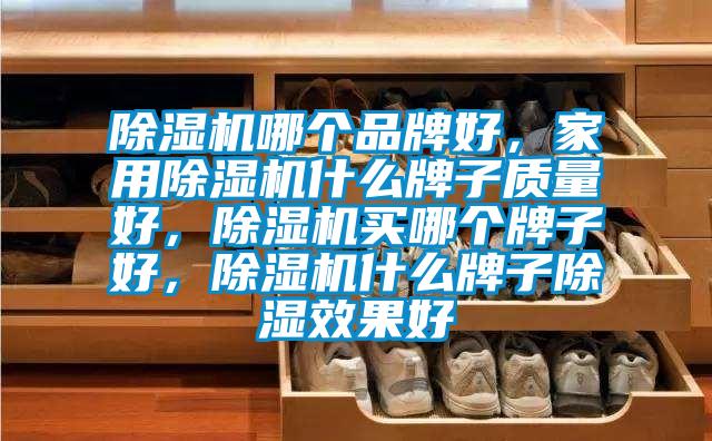除湿机哪个品牌好，星空体育app官网什么牌子质量好，除湿机买哪个牌子好，除湿机什么牌子除湿效果好