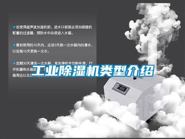 星空娱乐彩票是什么网站类型介绍