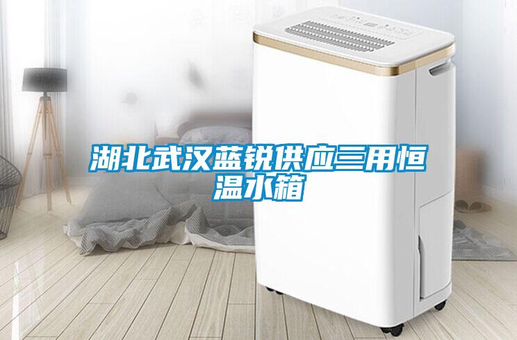 湖北武汉蓝锐供应三用恒温水箱