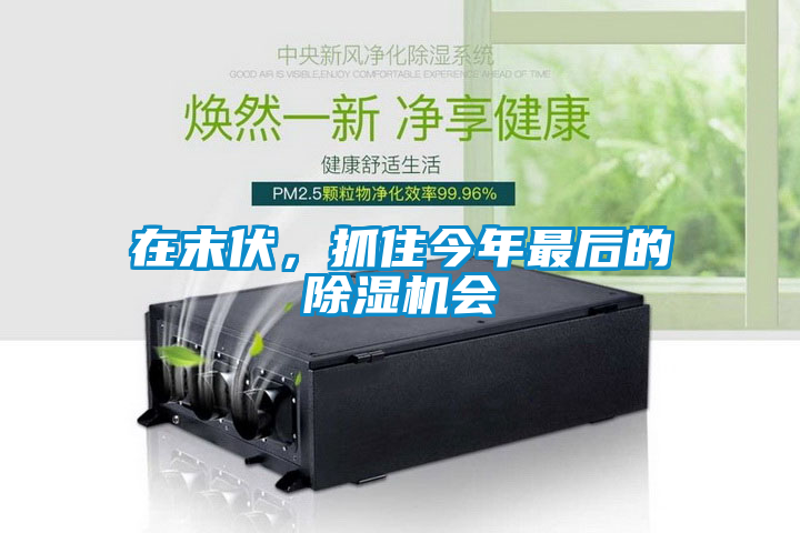 在末伏，抓住今年最后的除湿机会