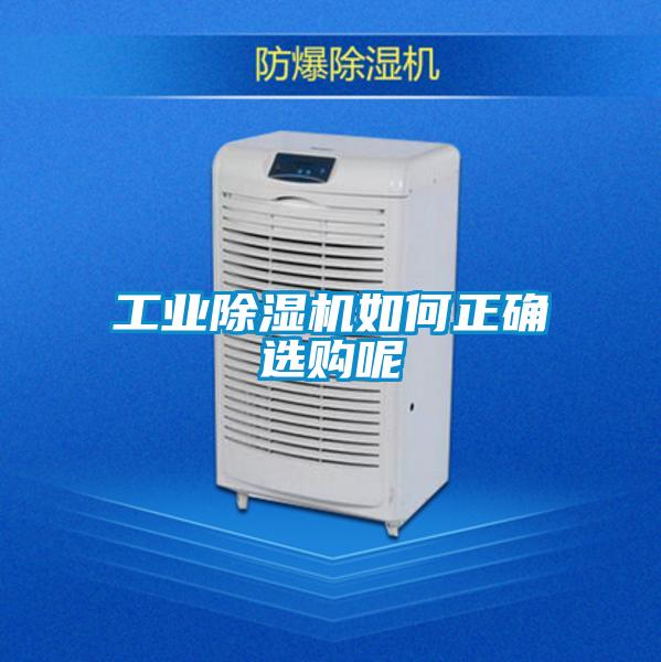 星空娱乐彩票是什么网站如何正确选购呢