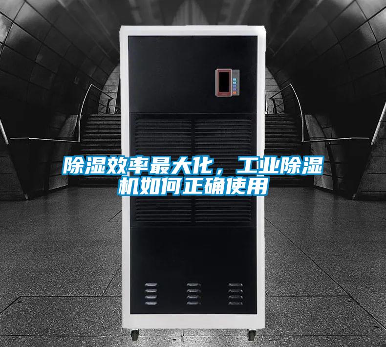 除湿效率最大化，星空娱乐彩票是什么网站如何正确使用
