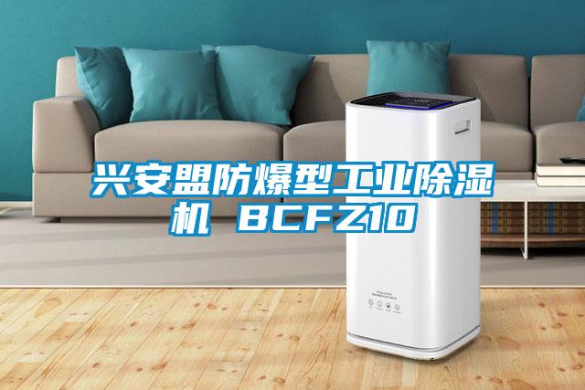 兴安盟防爆型星空娱乐彩票是什么网站 BCFZ10