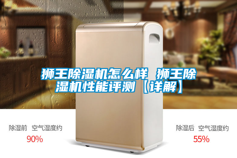 狮王除湿机怎么样 狮王除湿机性能评测【详解】