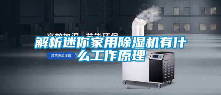解析迷你星空体育app官网有什么工作原理