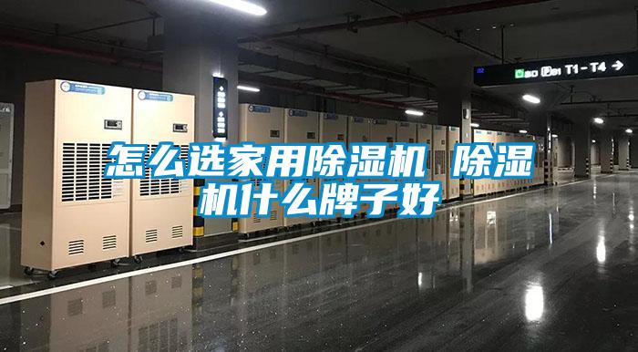 怎么选星空体育app官网 除湿机什么牌子好