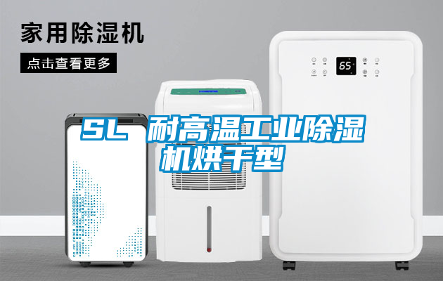 SL 耐高温星空娱乐彩票是什么网站烘干型