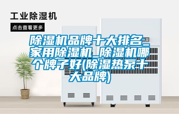 除湿机品牌十大排名_星空体育app官网_除湿机哪个牌子好(除湿热泵十大品牌)