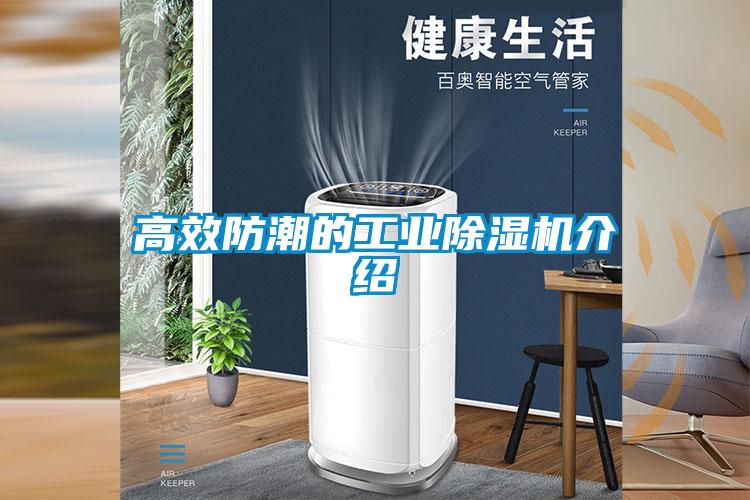 高效防潮的星空娱乐彩票是什么网站介绍