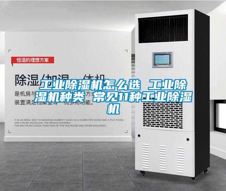 星空娱乐彩票是什么网站怎么选 星空娱乐彩票是什么网站种类 常见11种星空娱乐彩票是什么网站