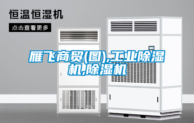 雁飞商贸(图),星空娱乐彩票是什么网站,除湿机